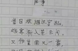 小网红作文,小网红的奇幻成长之旅